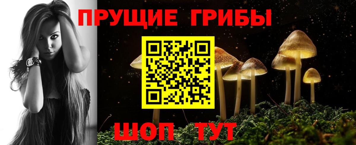 наркошоп  Псилоцибиновые грибы Psilocybe  Псилоцибиновые грибы Psilocybe  Вход с VPN  Советский 
